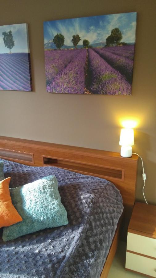 סלאופסק City Center Apartment מראה חיצוני תמונה
